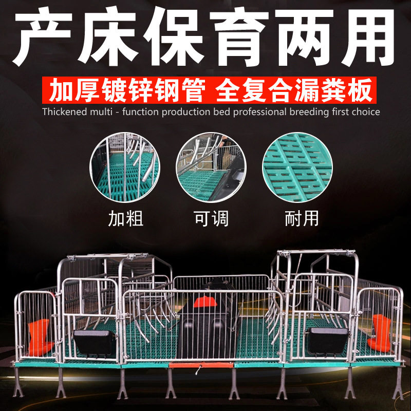 母猪双体产床保育两用限位栏
