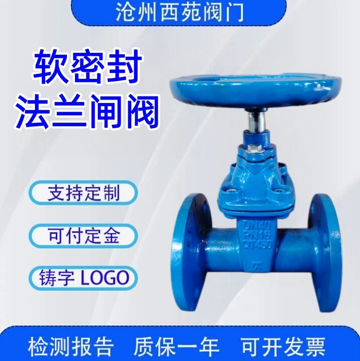 国标Z45X球墨铸铁软密封闸阀