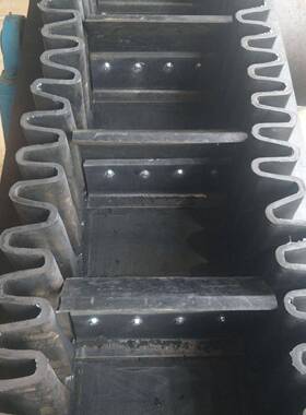 聚酯环形挡环边运输ZYE带EP300波状裙边输送S80带形裙边传送带