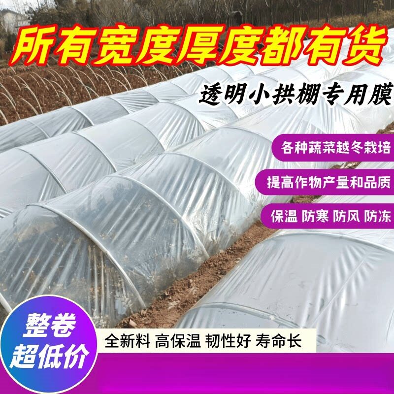 农用小拱棚二层加厚保温防冻膜