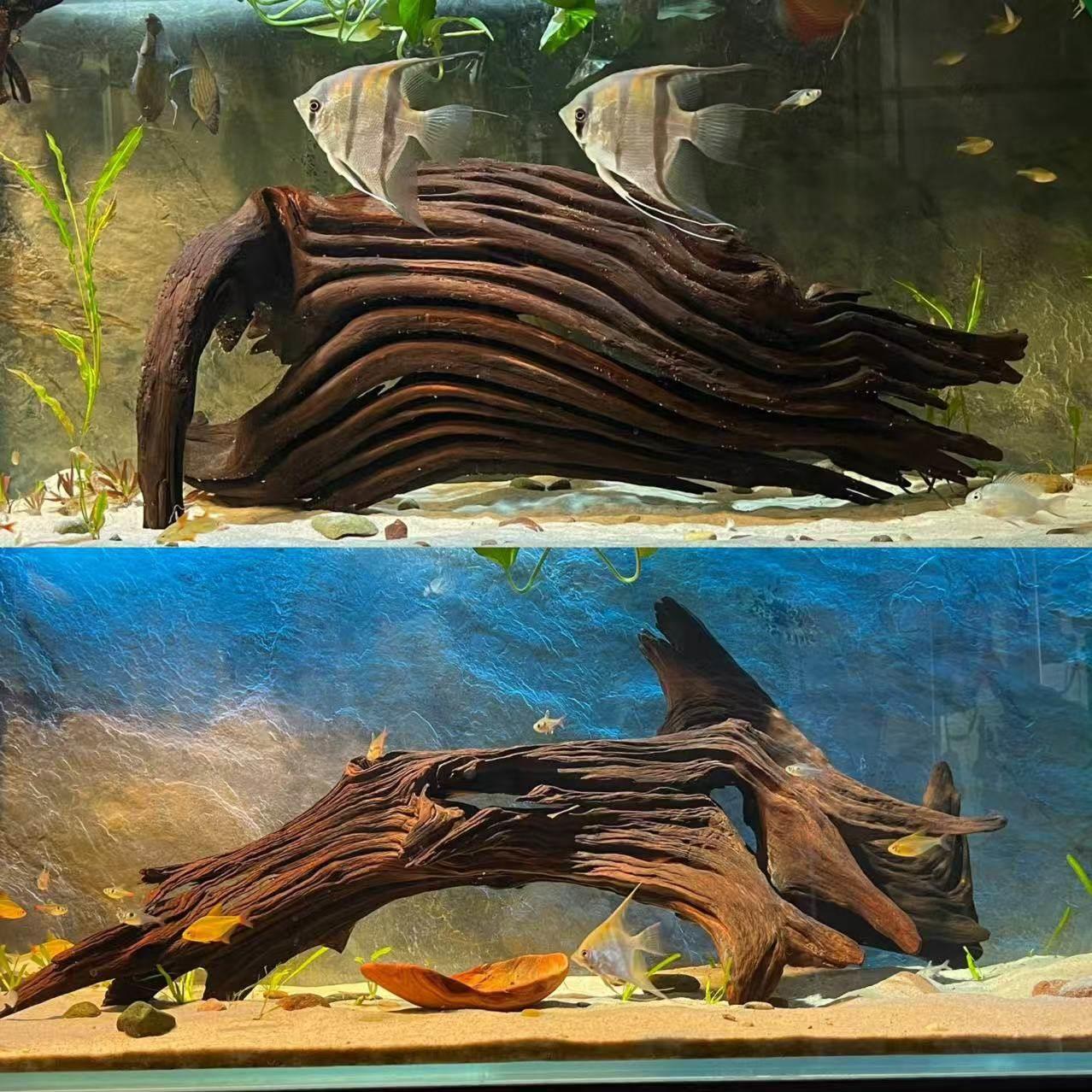 紫柚木精品鱼缸造景沉木 大型拱桥型树桩沉木 鱼缸摆件一木成景