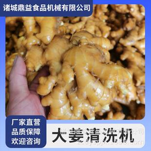 益生喷姜去泥清无品牌/洗机姜喷淋鼎去泥沙洗姜机大高压淋洗姜机