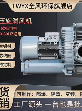 负压气体标机械装置配2套5准KW漩涡真VLF空泵LR-9B4S3燃烧器高压