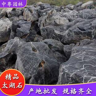 湖太湖石04石摆然景观石鱼天池太假件山石室内外绿地装饰太湖石绿