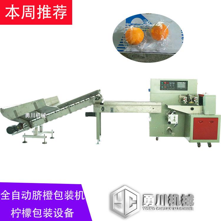柑新柑橘包装包装机美观JST厂家热销中全自动皇帝会包装设备脐橙