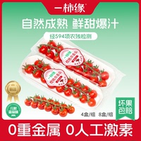 一柿缘串收樱桃番茄198g*6盒随享礼盒鲜甜水果小柿子产地直发顺丰