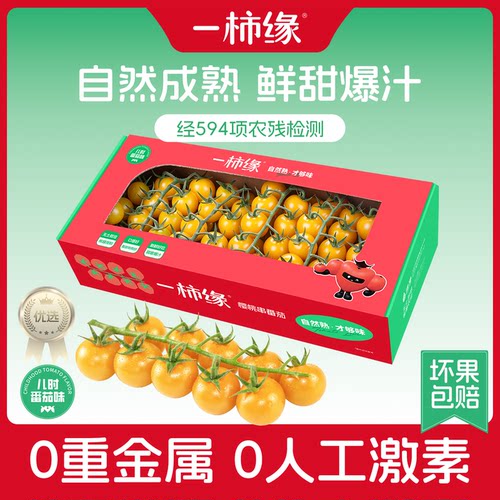 一柿缘黄色串收小番茄顺丰包邮