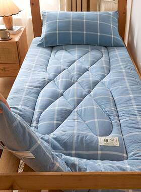 A类家用褥子学生宿舍软垫加厚床软垫夏子季薄款垫榻DD-A005榻米床