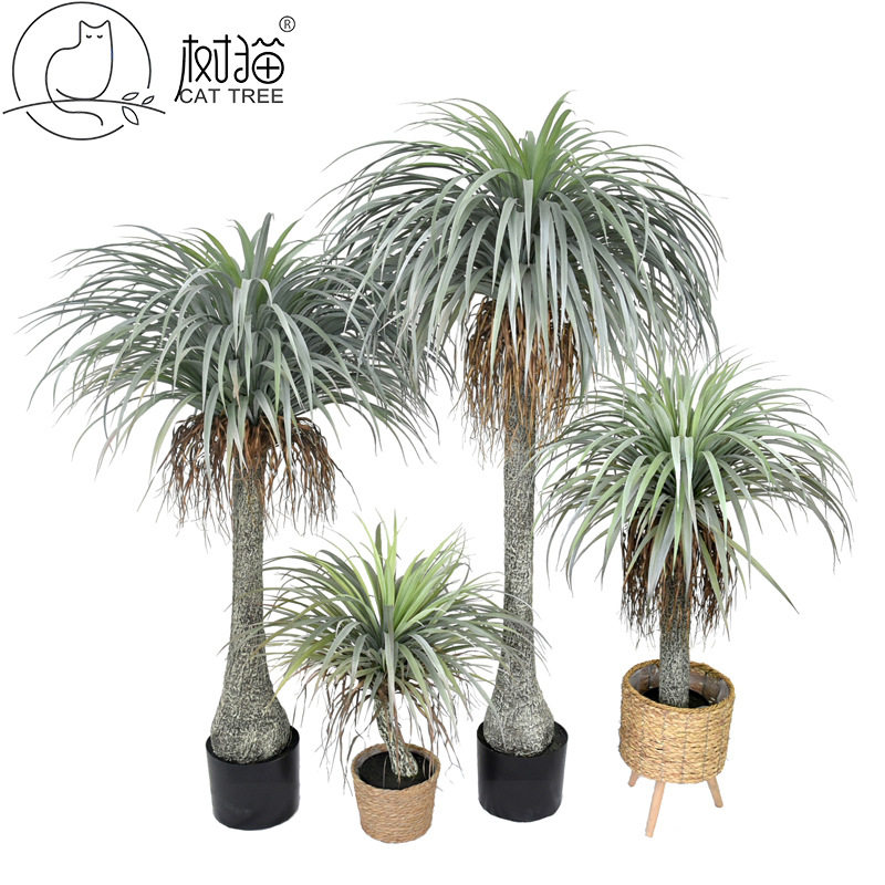 大型仿真龙血树盆栽摆件粗杆荷兰铁假树办公室装饰龙舌兰植物盆景