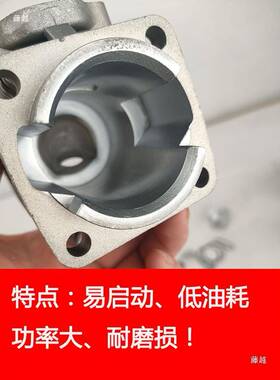 40F-534FDQK-6Z450二冲气程汽油割草机缸活塞环滚总成针缸体缸头