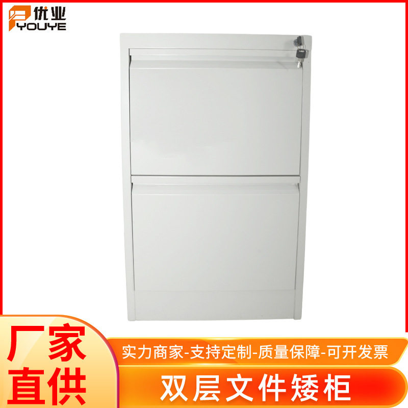 供应双层文件矮柜灰色档案文件双层柜冷轧钢板储物柜子规格可定