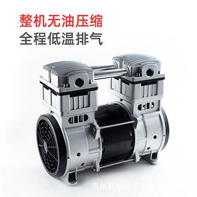 锦穗科技20V50Hz20W空压机静音无油小型气泵空压GZJ1200A机压2缩