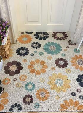 夏天进门除尘丝圈毯玄关蹭pv地c厨房浴土防滑地垫室几IOA何简约