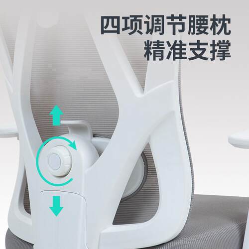 泰畅办椅子椅人工学椅电W2025脑椅办公椅体公休闲久坐不累子升降