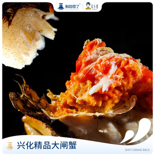 船回来了兴化大闸蟹鲜活公蟹大闸蟹鲜活大闸蟹4对大闸蟹母蟹礼盒