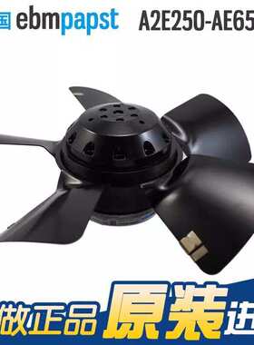 A2E250-AE65-01进口 230V蒸发器风机冷凝主轴电机外转子