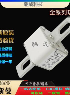 巴斯曼170M4619 170M4656 170M4658 销售供应销售价优 方体熔断器