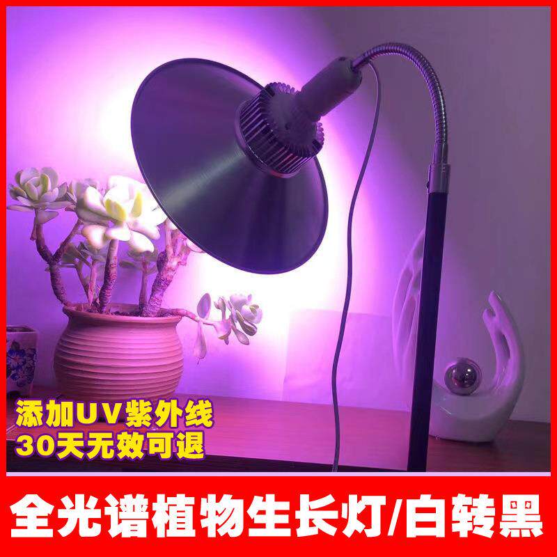 植物无品牌/生补光白转黑U光V紫外线头发灯养发馆烤理发店法尓加
