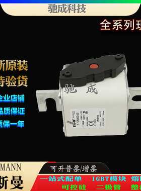 巴斯曼170M6248 170M6249 170M6250 厂价供应出厂价格 快速熔断器