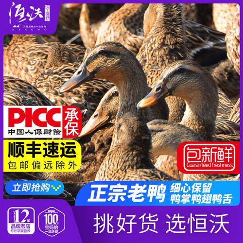 5年老鸭浙江土鸭农家散养老鸭子新鲜水鸭大麻鸭整只现杀母鸭子肉