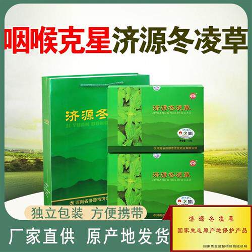 冬凌草茶包 喉咙异物感咳嗽清嗓子干痒清火240袋润喉茶 济源特产
