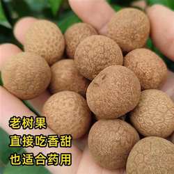 百年老树桂圆干老品种天然晒干泸州特产张坝野生无硫泡水煮水药用