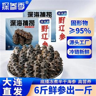2024头茬大连野底播无添加拉缸盐半干海参500g特价鲜活冻煮非干货