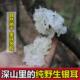 长白山野生银耳东北山区纯天然雪耳干货特级无硫孕妇白木耳糯丑耳