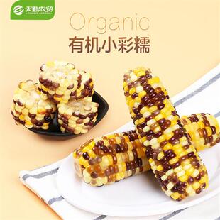天勤粒粒净180g*15条新鲜非转基因真空小小彩糯玉米