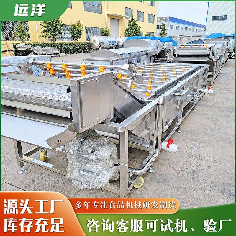 甜瓜橘子气泡清洗机果蔬食品不锈钢净菜设备物料多功能清洗机