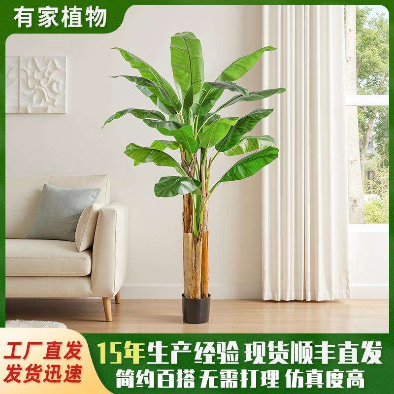 仿真绿植大型落地芭蕉树盆栽室内户外装饰摆件假植物香蕉树盆景