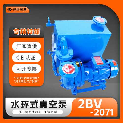 厂家供应2BV2071水环式真空泵铸铁304防爆电机液环泵水循环真空泵