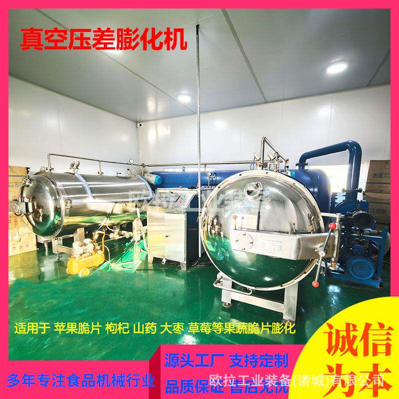菠萝片真空膨化罐 胡萝卜脆片真空膨化机 全自动真空果蔬干燥设备