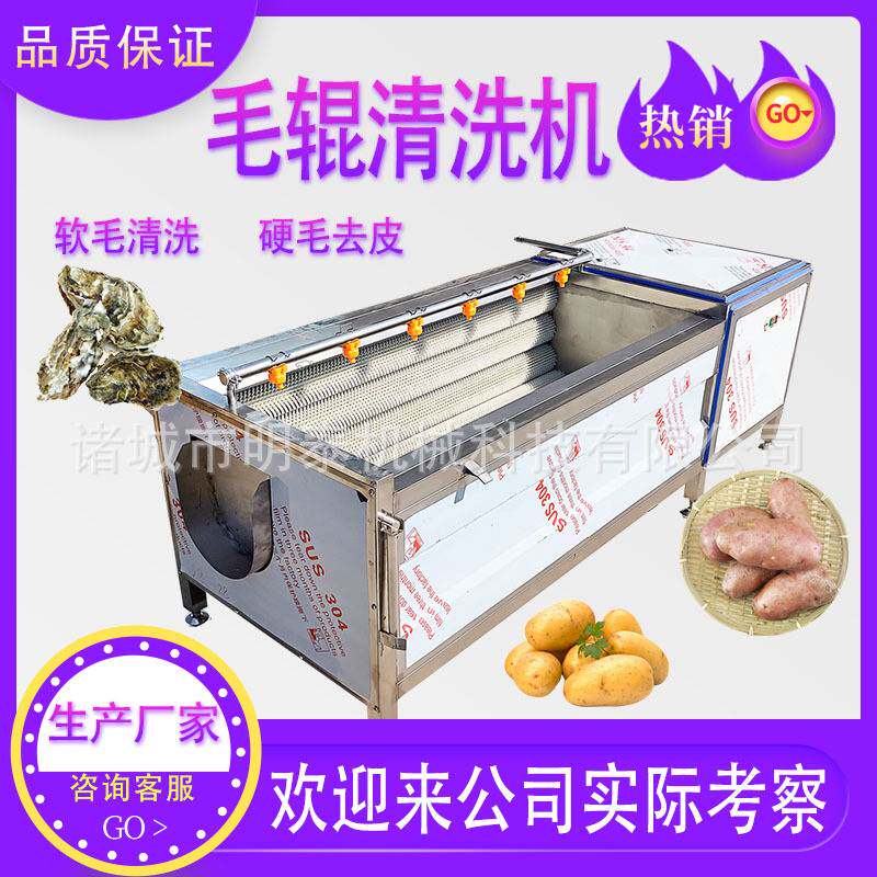 商用中药材清洗机海蛎子生蚝马蹄清洗去泥设备土豆地瓜清洗去皮机