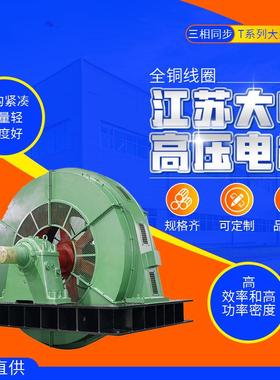 电机马达T大型高压电动机三相同步280w315w355w375w