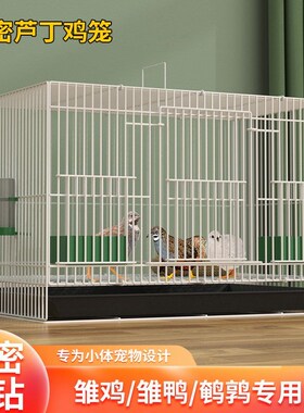 芦丁鸡笼子家用养殖笼加密雏鸡笼小鸡笼鹌鹑笼鸭笼柯尔鸭笼特价
