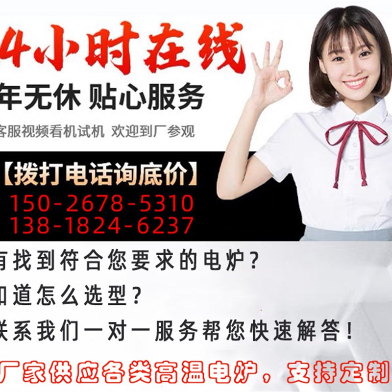 定制实验室电炉马弗炉工业炉程序控温电阻炉上海盛热电炉优惠