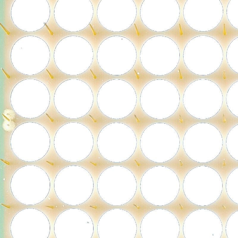 定制负离子发射器多头发射板 空气净化器配件除烟除尘除味 满包邮