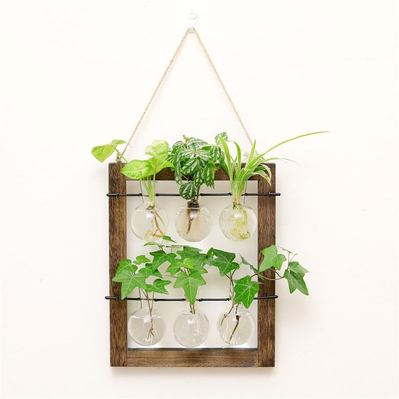 创意绿萝水培植物玻璃透明花瓶插花水养花盆麻绳试管挂墙客厅摆件,特色手工艺,其他特色工艺品,淘宝优惠券,粉丝福利购,淘宝优惠卷