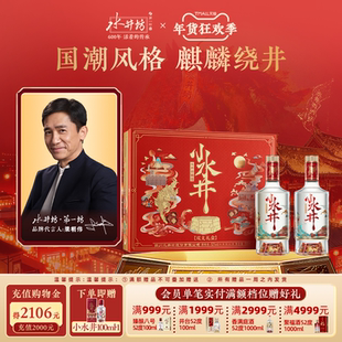 【梁朝伟首选白酒】水井坊小水井52度500ML*2 双支礼盒浓香型送礼