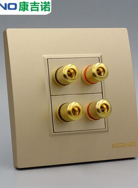 86型4孔5.1环绕音响音频墙壁插座 二位双头音箱音频墙壁开关面板