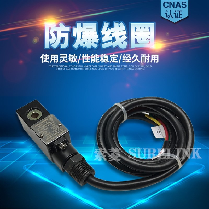 TY131-09系列防爆线圈4V210 410 4M310-08DC24VAC220V电磁阀9mm孔