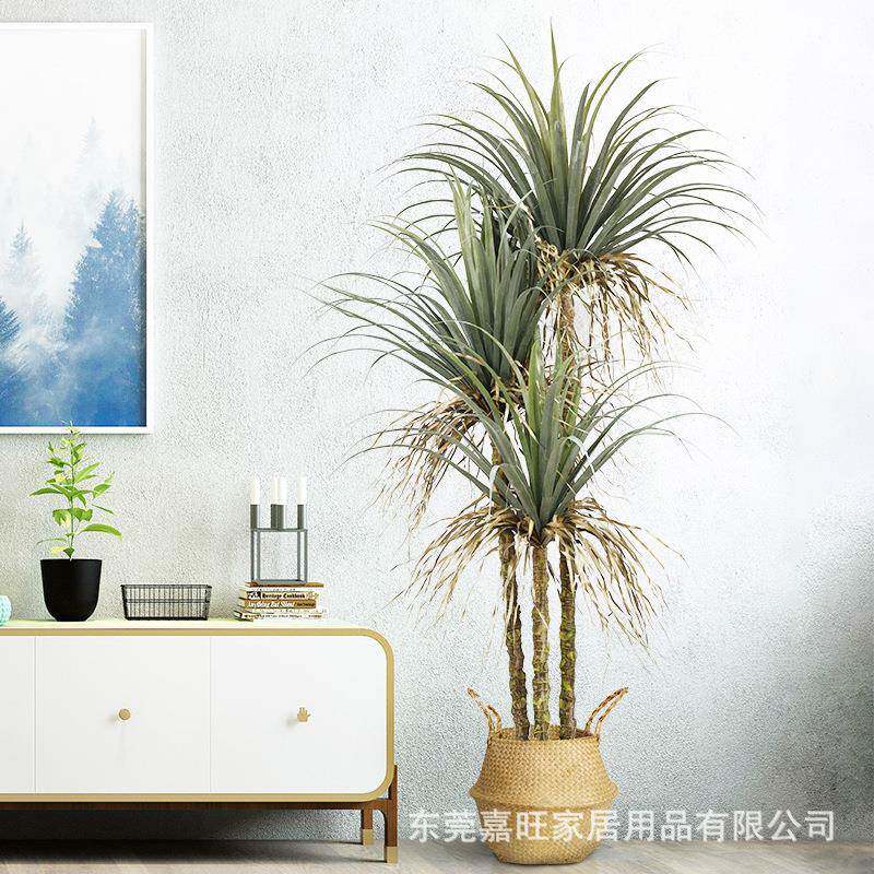 仿真植物龙血铁树盆栽假多杆丝兰树落地装饰花北欧绿植婚庆布置