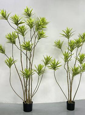 NuSun 柯基(中小型犬)成犬鸡肉燕麦专用粮 2.5KG仿真百合竹绿色盆