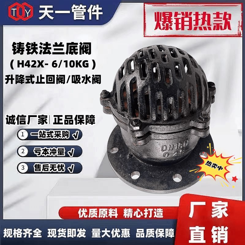 厂家直销铸铁H42X 6/10水泵法兰底阀单向阀止回阀花篮莲蓬头吸水