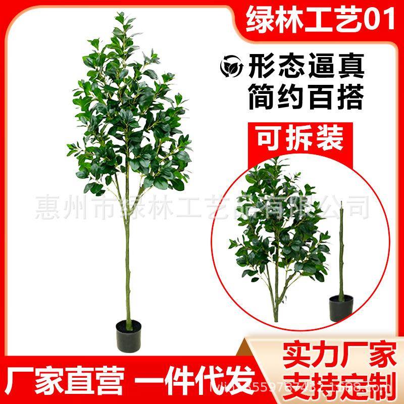 外贸仿真植物豆瓣树可拆装盆栽塑料室内假树造景客厅豆瓣装饰假花