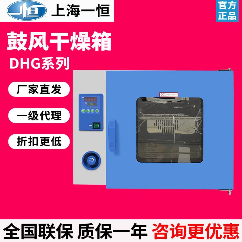 上海一恒DHG-9030A电热鼓风干燥箱实验室高效加热工业烤箱烘箱