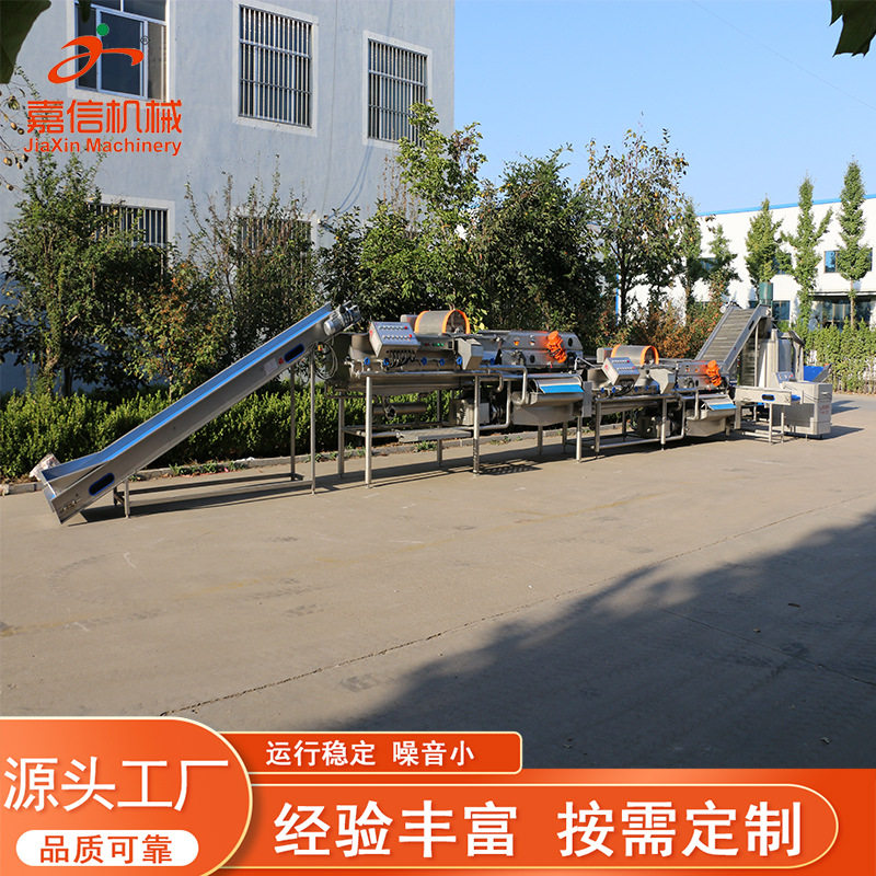 涡流式振动果蔬洗虫机