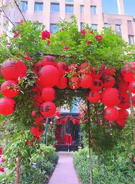 喜字灯庭笼布结婚外装饰婚房布置装饰喜庆农村院室中SFE式婚礼瀑