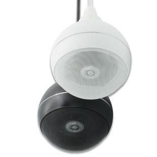 防水广NXM吊球喇叭音箱能定防水户外公共播阻多功音响扬声器厂家